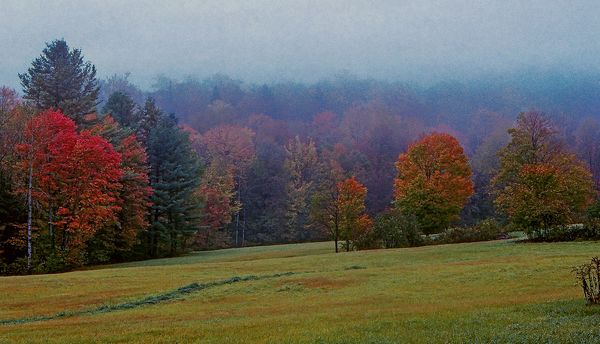 Vermont Mist...