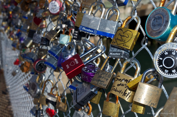 Love Locks adorn a fence overlooking one of the wh...