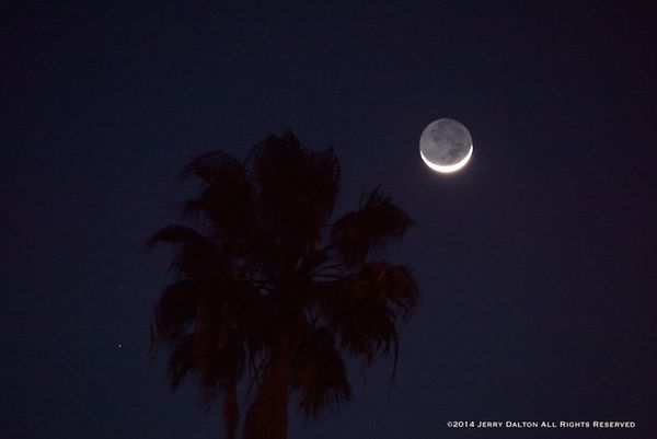 Panasonic DMC-G1 u-4/3 Moon Rise over Palm Tree...