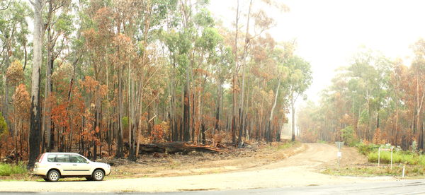 after the bush fire, all side rds closed...