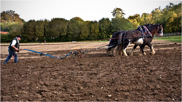 Ploughing the Good Earth...