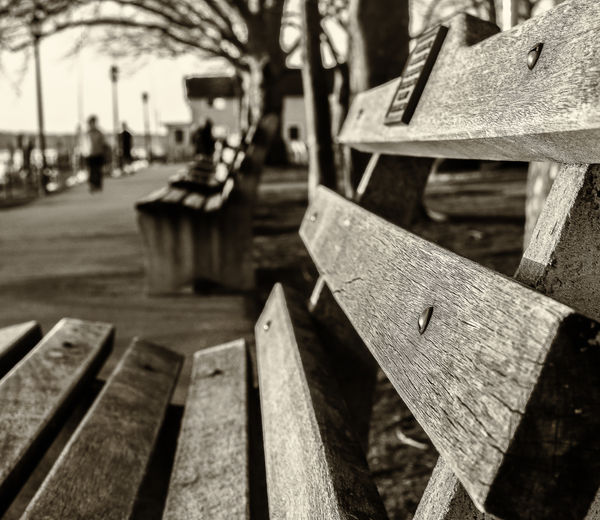 1. A bench at the Northport Harbor...