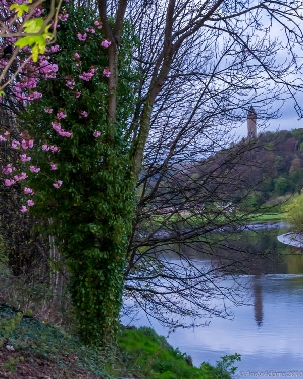 Wallace Monument...