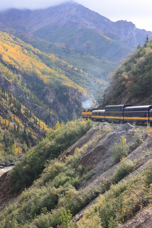 On the train from Fairbanks to Denali - Note Yello...