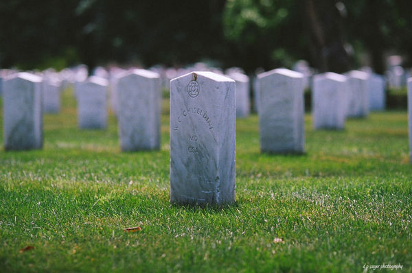 Confederate graves...