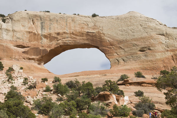 The Wilson Arch...