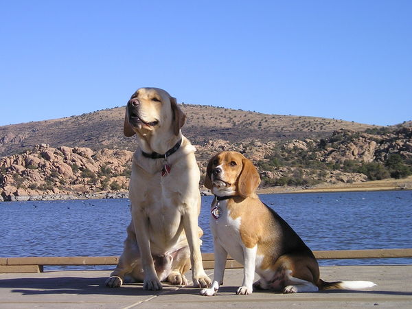 Dan and Beagle Cosmo at Watson Lake, Prescott, AZ....