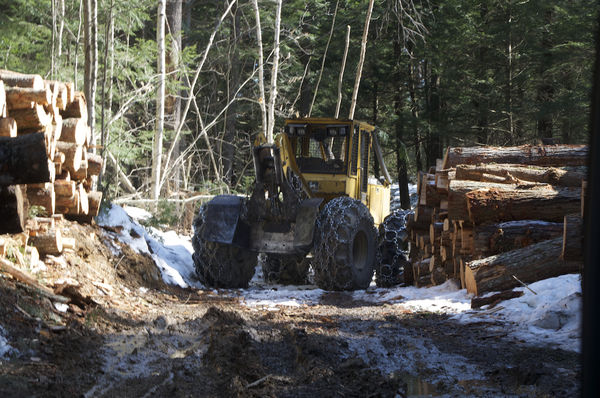 Logging is still big business here with many folks...