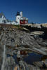 The Lighthouse - I am fortunate to live in Maine w...