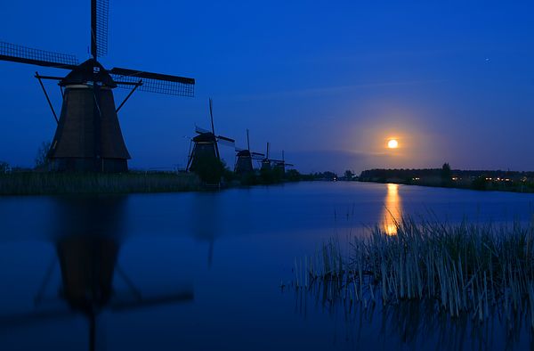 Blue hour at Kinderdijk windmills in Holland about...