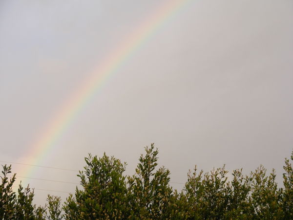 half of a full gorgeous Rainbow  2/2014...