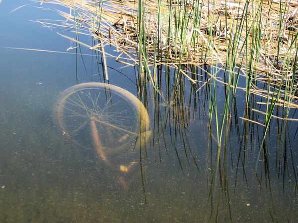 Bike in pond #2...