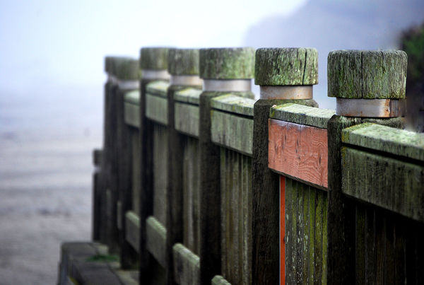 Posts on a cloudy day...