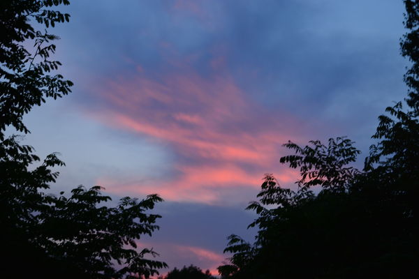 evening sky...