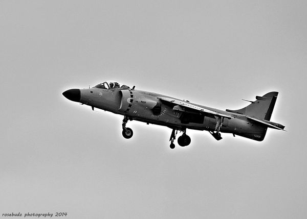 Royal Navy Sea Harrier...