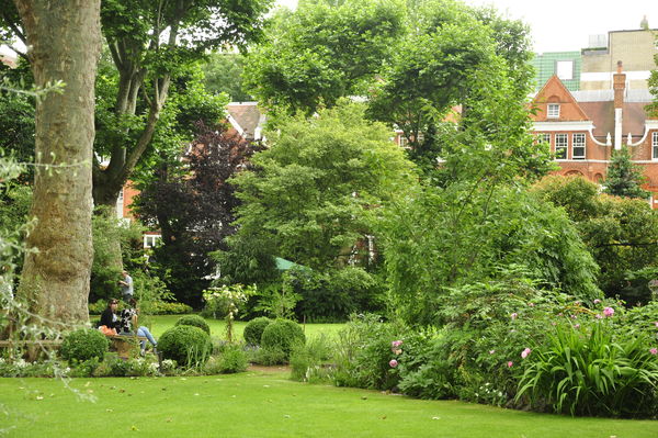 Earl's Court Garden...
