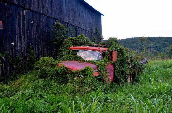 This old farm truck was found in a field out a cou...