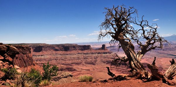 Dead Horse Point...