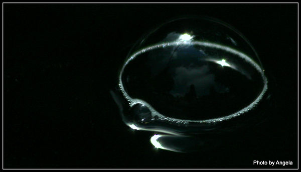 reflected bubble...