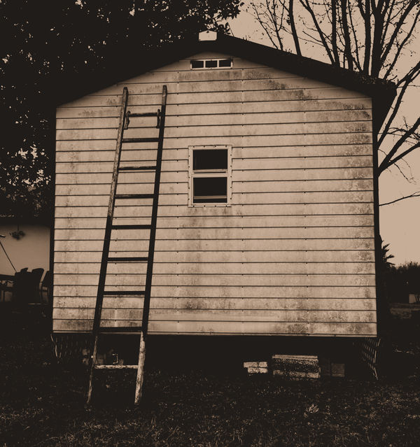 Old shed and ladder...