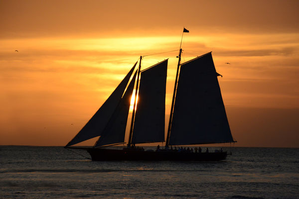 Schooner America at dusk of Key West....
