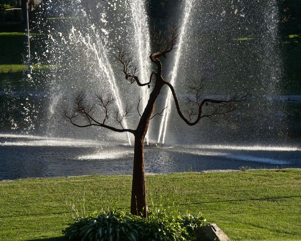 A metal tree in a sculpture garden...