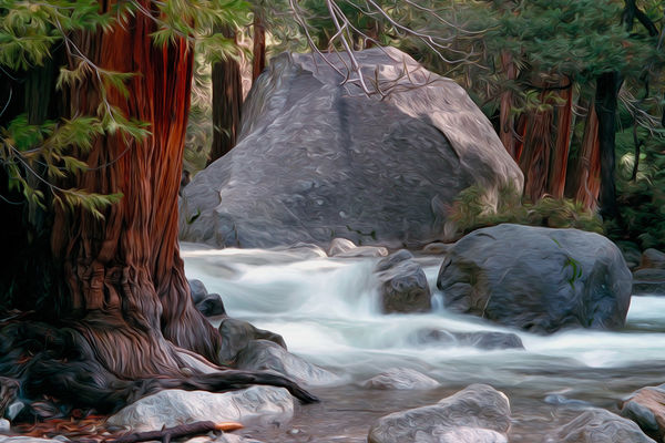 Stream in Yosemite...
