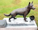 'Brutus.' War Dogs have the right to be remembered...