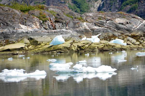 Icebergs, left high and maybe not so dry due to ti...