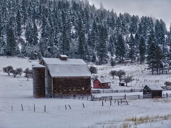 Winter Barn...