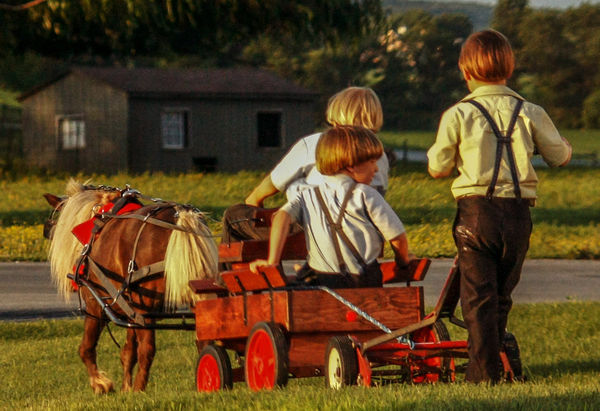 Amish Riding Lawn Mower...