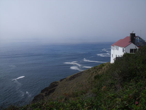 cape foulweather...