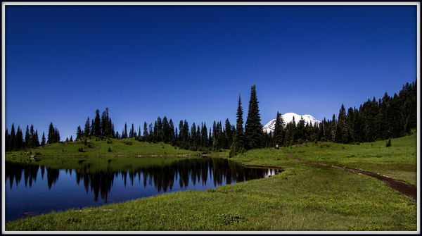 3. Tipsoo Lake just before the crowds arrive. A ve...