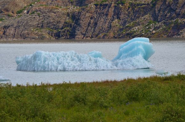 An iceberg at Mendenhall Glacier...