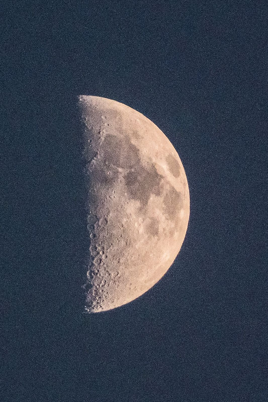 F7.1 @ 1/400sec and iSO 800. Focal length 1000mm...