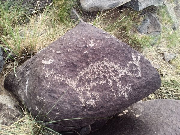 jackrabbit? petroglyph...
