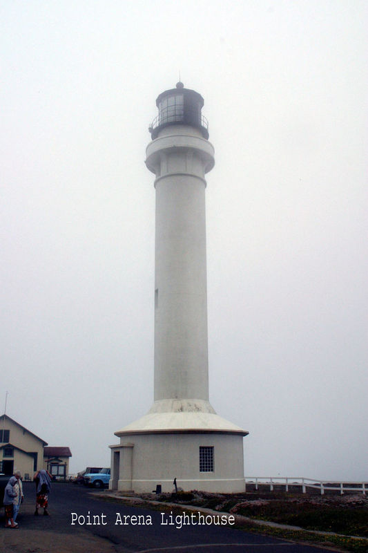 Point Arena lighthouse on a foggy morning from a f...