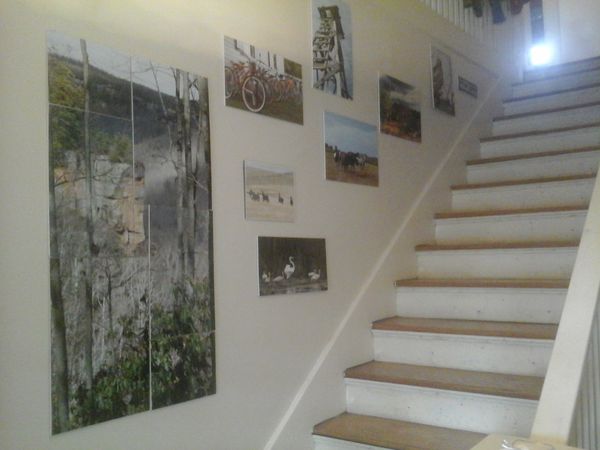 Stairwell Display...