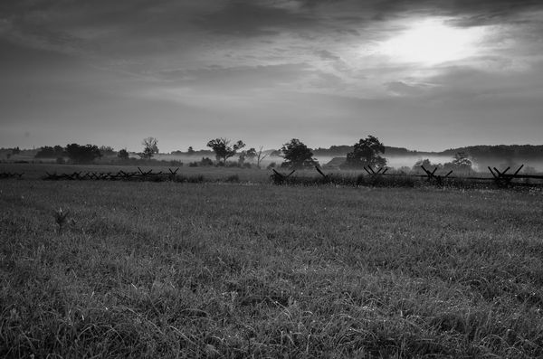 Fields at Gettysburg. (Looking toward Longstreet's...