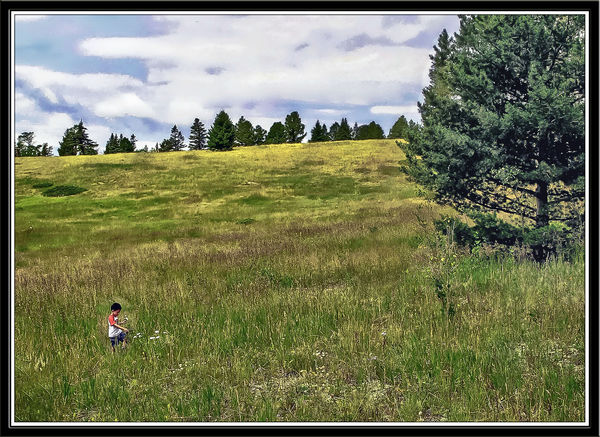 Variant of Boy in a Mountain Meadow...