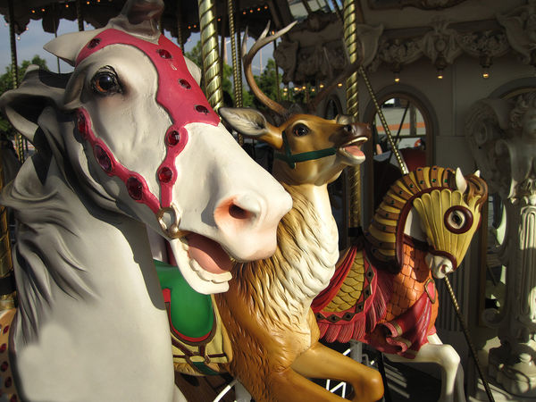 Carousel animals: Here in Orange County, CA we have a Helium balloon to ...