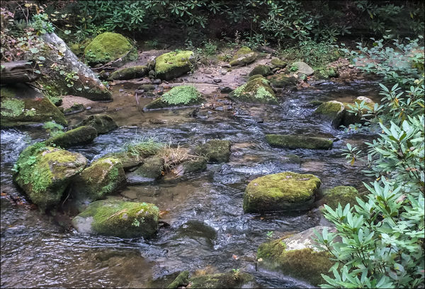 Stone Mountain Creek and Moss Covered Rocks...