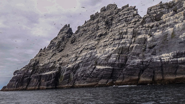 Lesser Skellig Island...