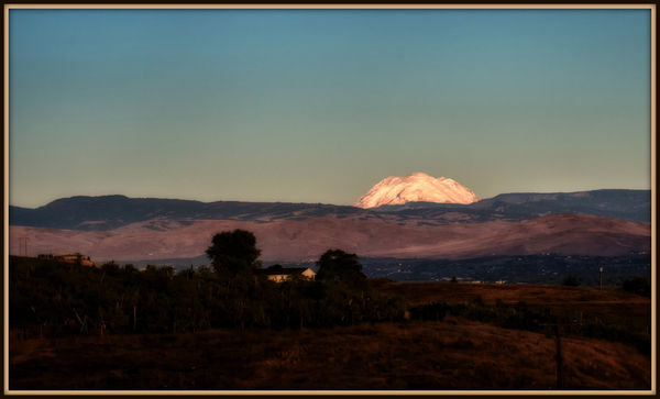 Mount Rainer this morning, shot from east of Yakim...