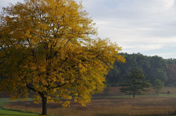 Fall color already making appearance - Stony Creek...