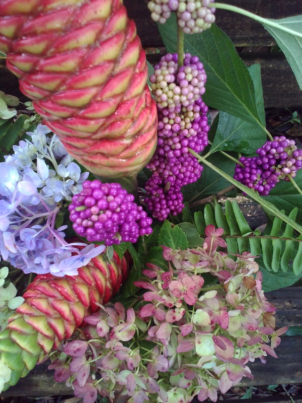 Beauty Berries, hydrengias, and pine cone ginger...