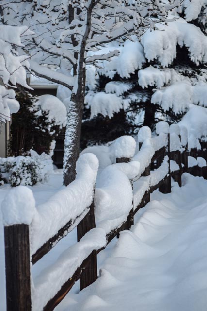 Snowy fence...
