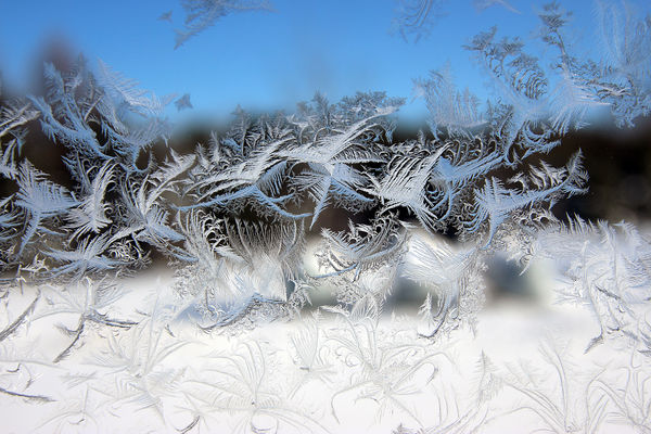Jack Frost on the window...