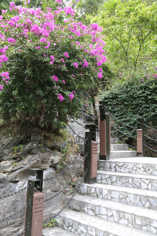 Another view of the walkway in Toroko Gorge...