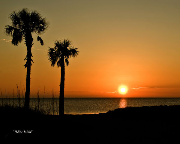 Sunset - Howard Beach, Tarpon Spring, Fl...